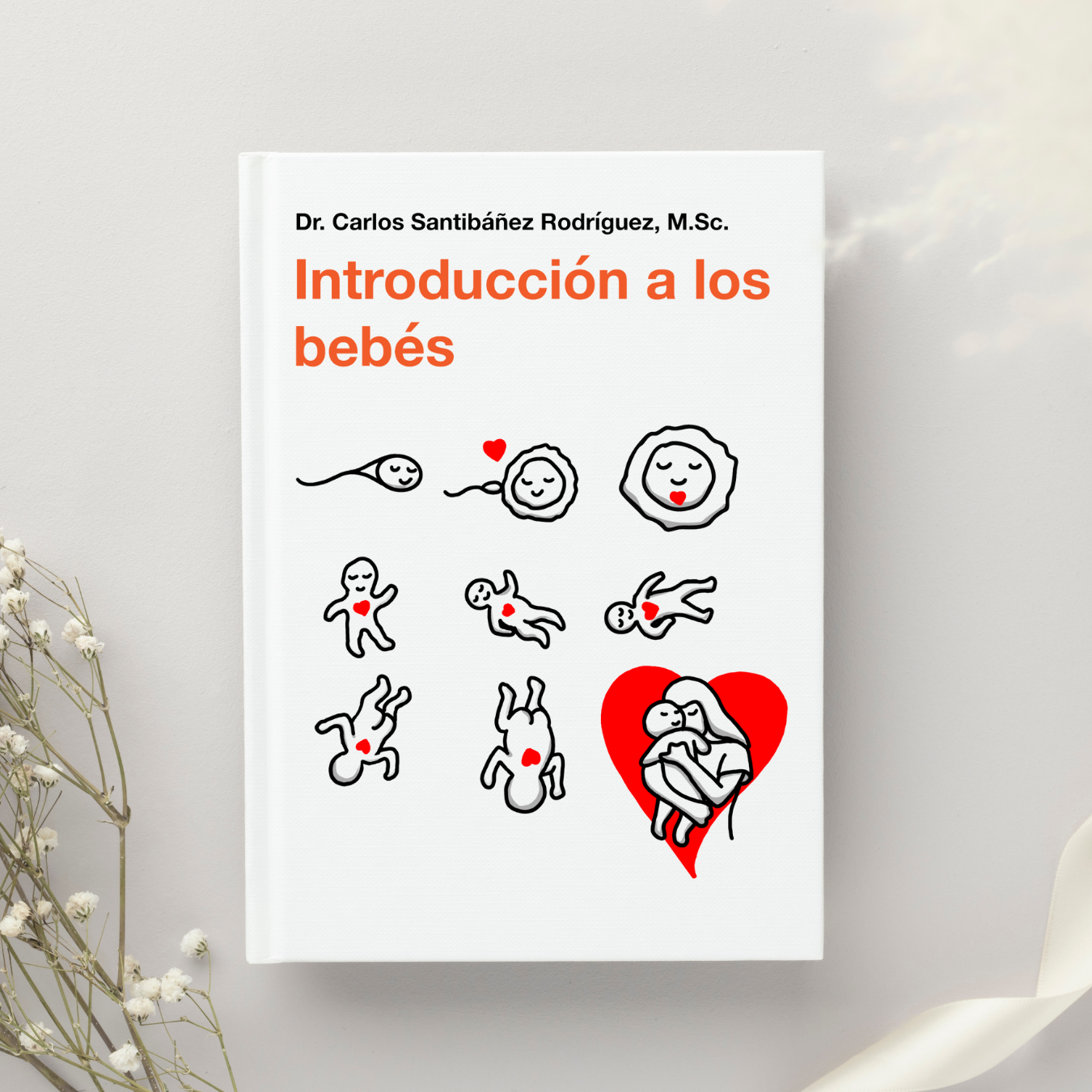 Preventa Introducción a los bebés - Versión Fular